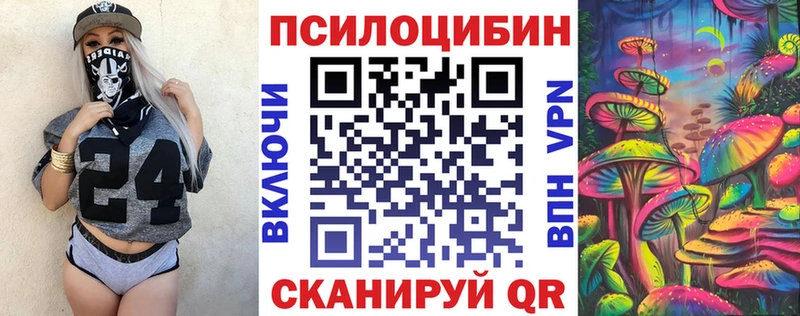 Псилоцибиновые грибы Psilocybine cubensis  Барабинск 
