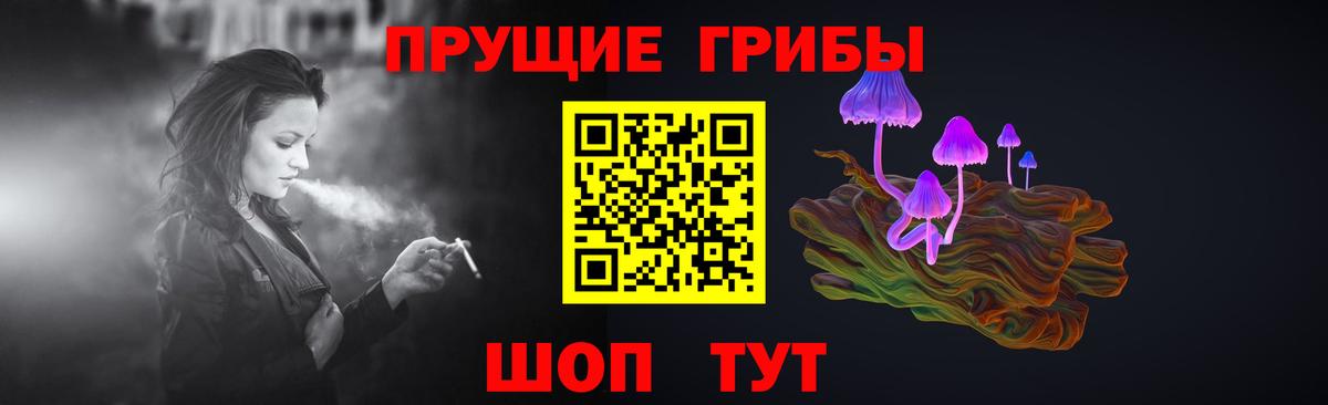 Барабинск  Псилоцибиновые грибы прущие грибы  Вход с VPN 